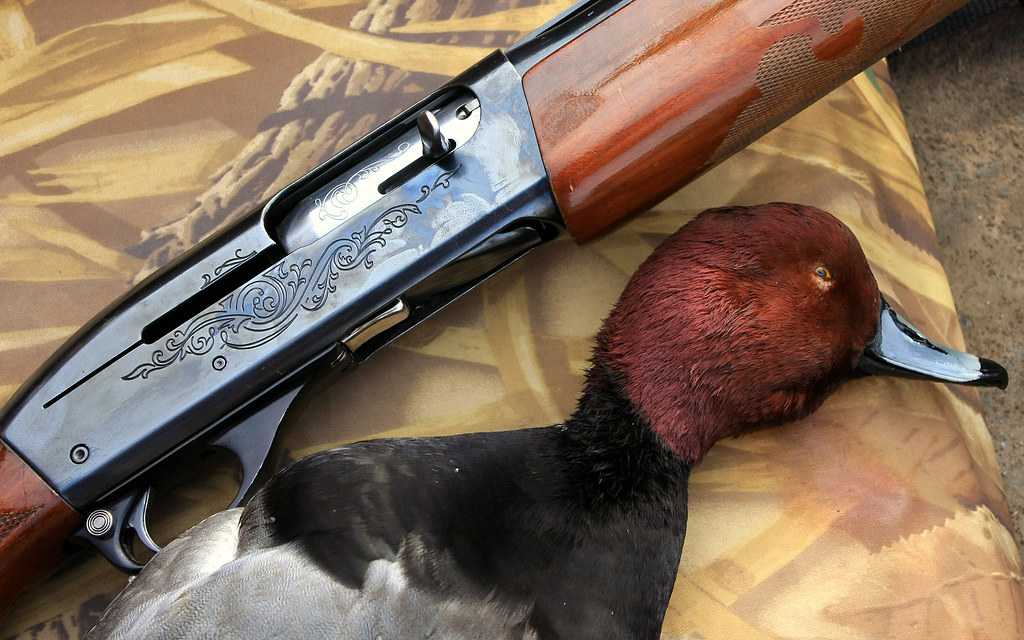• Remington 1100 for hunting ducks?