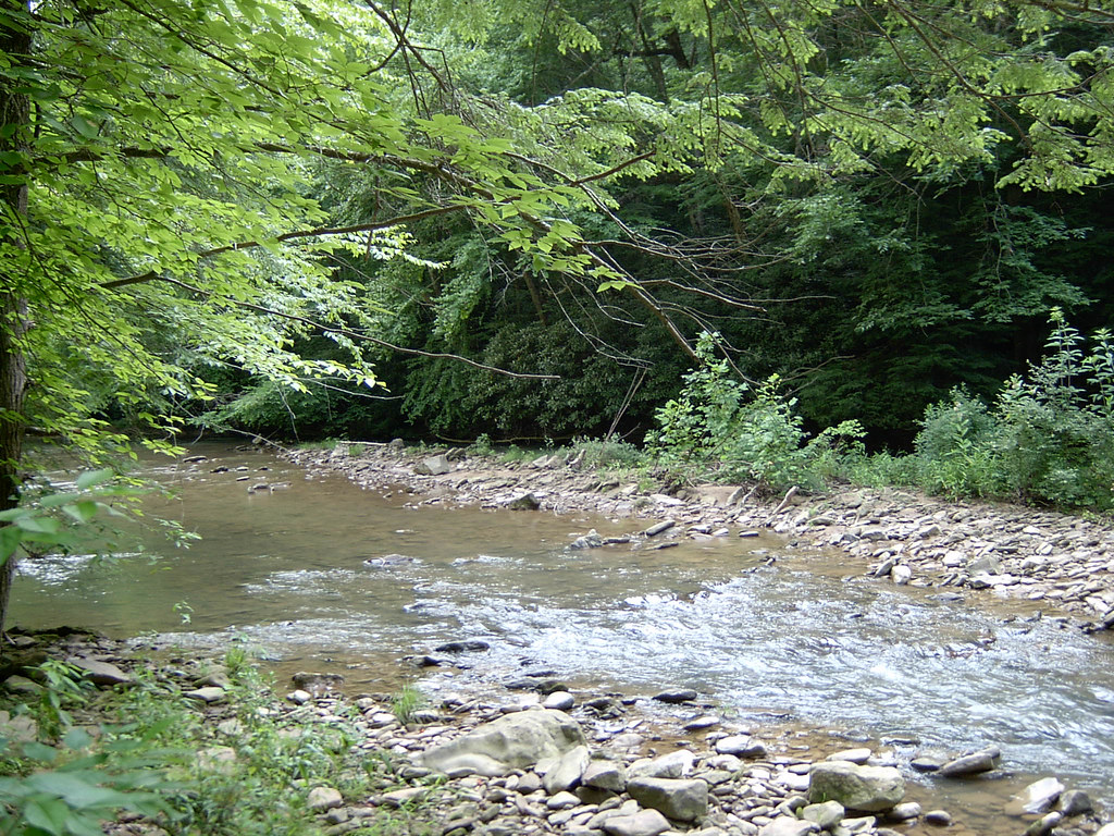 Elevation of Bradshaw, WV, USA Topographic Map Altitude Map