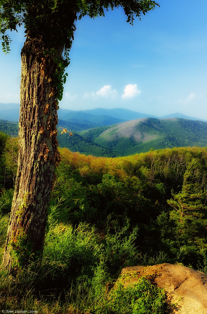 Elevation of Luray, VA, USA Topographic Map Altitude Map