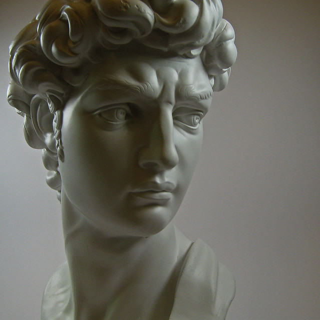 Photography David, Leonardo da Vinci Flickr Photo Sharing!