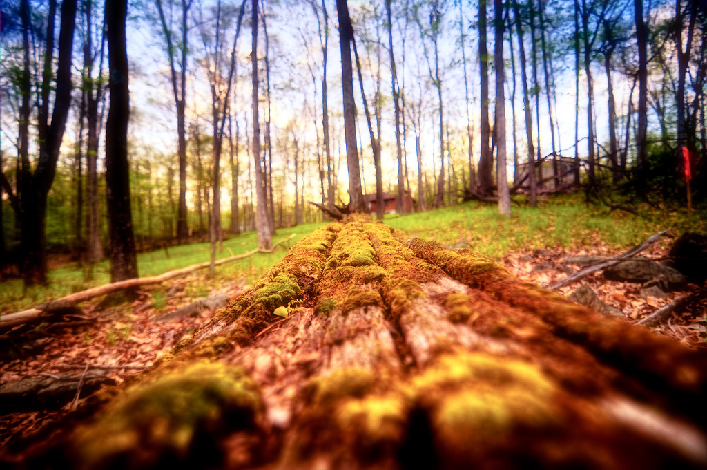 Elevation of Lackawaxen Township, PA, USA Topographic Map Altitude Map