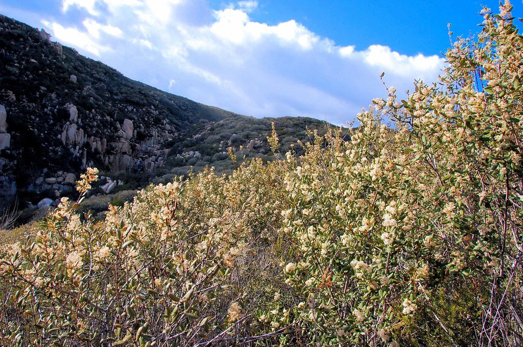 Decker Canyon Riverside County, California Around Guides