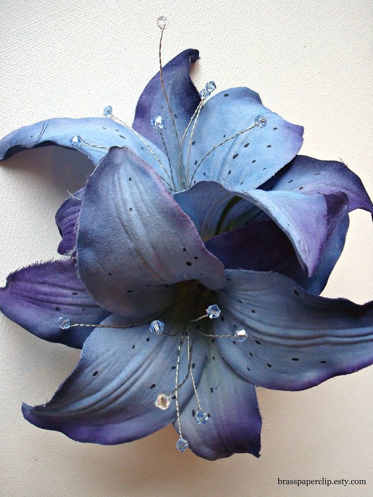 Blue Crystal Tiger Lily Comb a photo on Flickriver