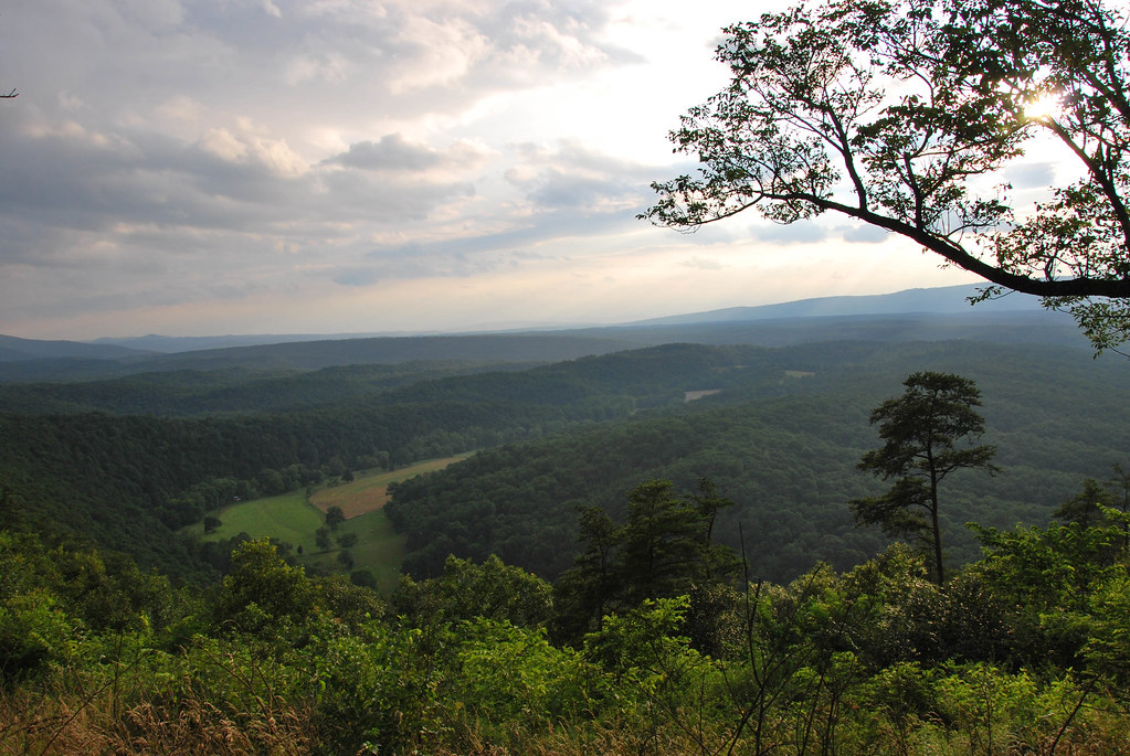 Elevation of 89 W Lake Dr, 89 Lake Ferndale Dr, Springfield, WV, USA