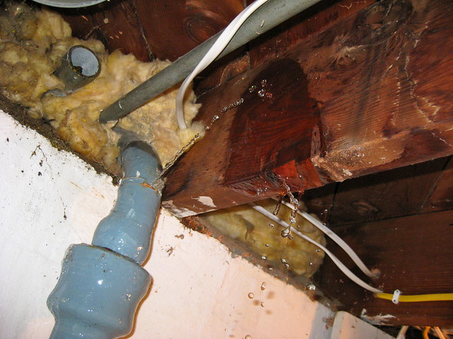 Burst Drain Pipe in Basement Flickr Photo Sharing!