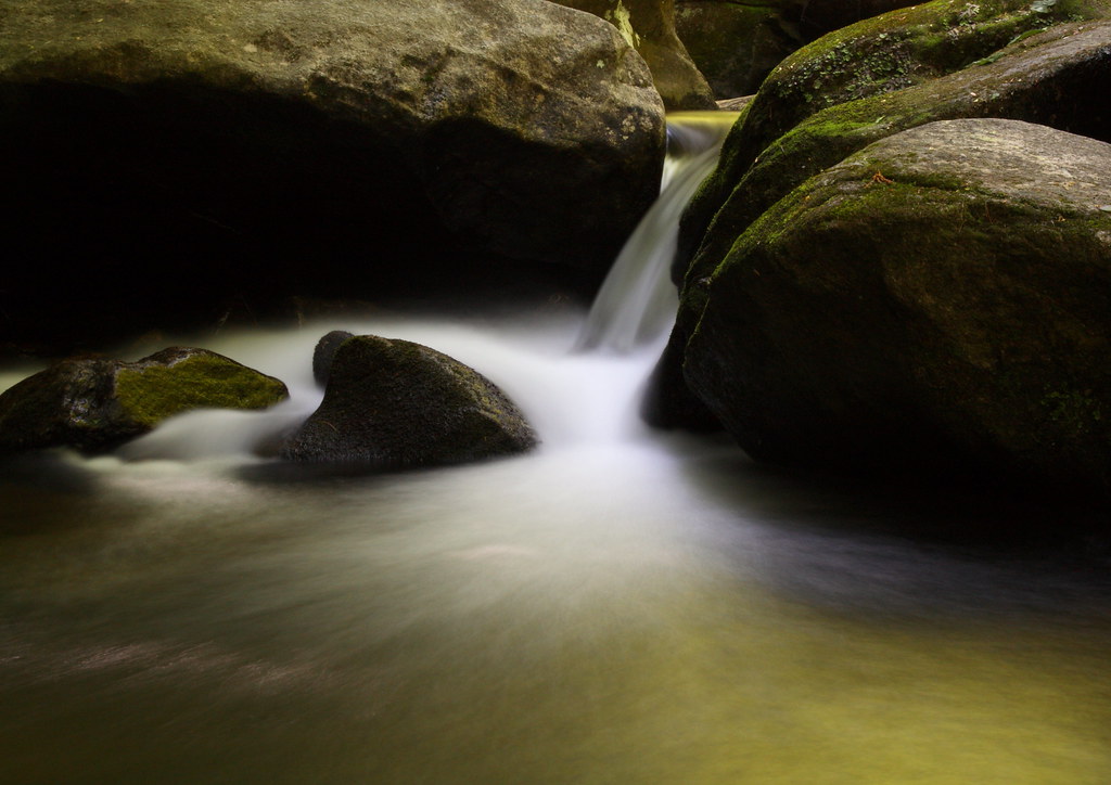 Elevation of NC, USA Topographic Map Altitude Map