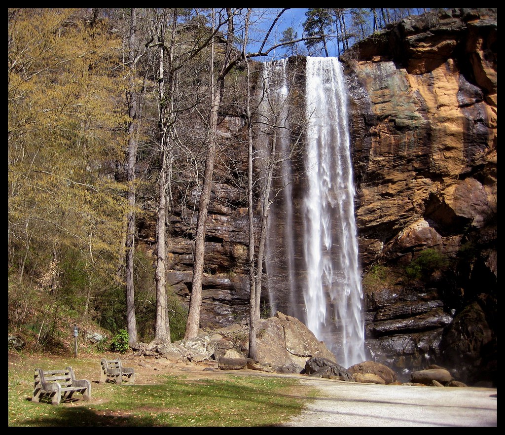 Elevation of Mount Airy, Mt Airy, GA, USA Topographic Map Altitude Map