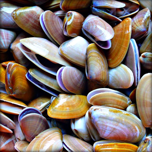 mom baby exam 1 sti's Flashcards Quizlet