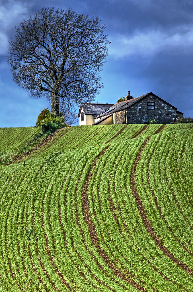Elevation of 23 Chapel Farm Terrace, Cwmcarn, Newport NP11 7NJ, UK Topographic Map Altitude Map
