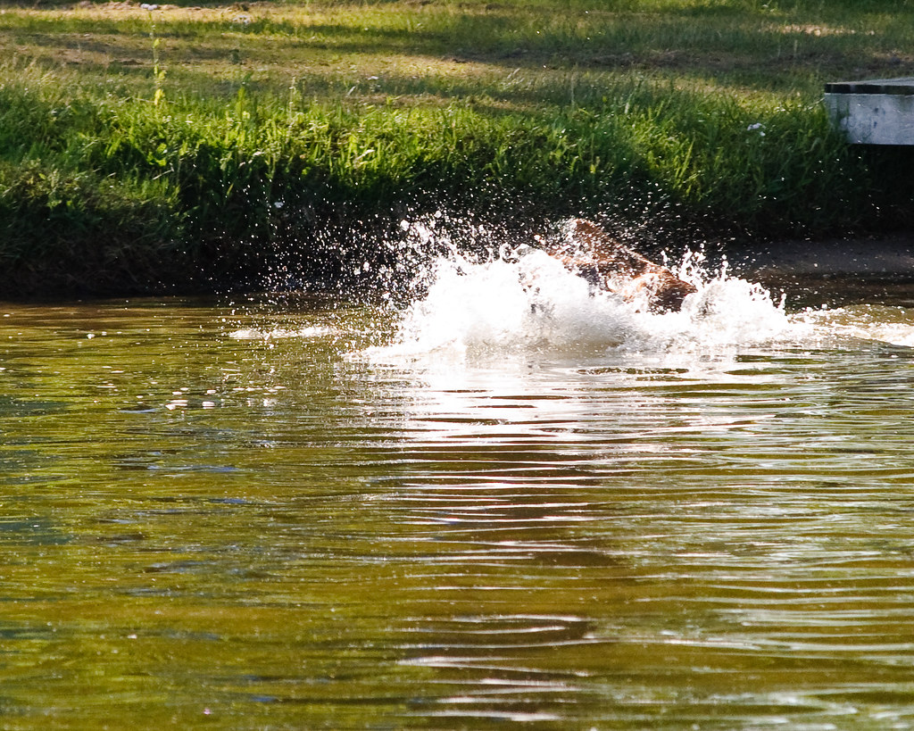 Little Portage Lake Map Jackson County, Michigan Mapcarta