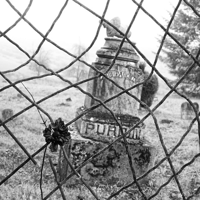 Flickriver Photos from Forest Grove, Oregon, United States