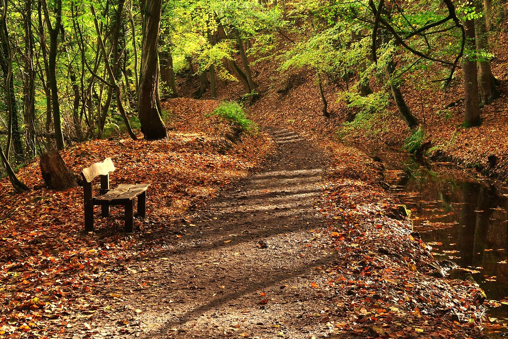 Elevation of Braithwaite Edge Road, Braithwaite Edge Rd, Keighley, UK