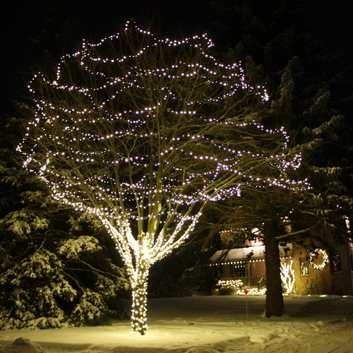 Christmas Lights and Hot Chocolate Life at Cloverhill