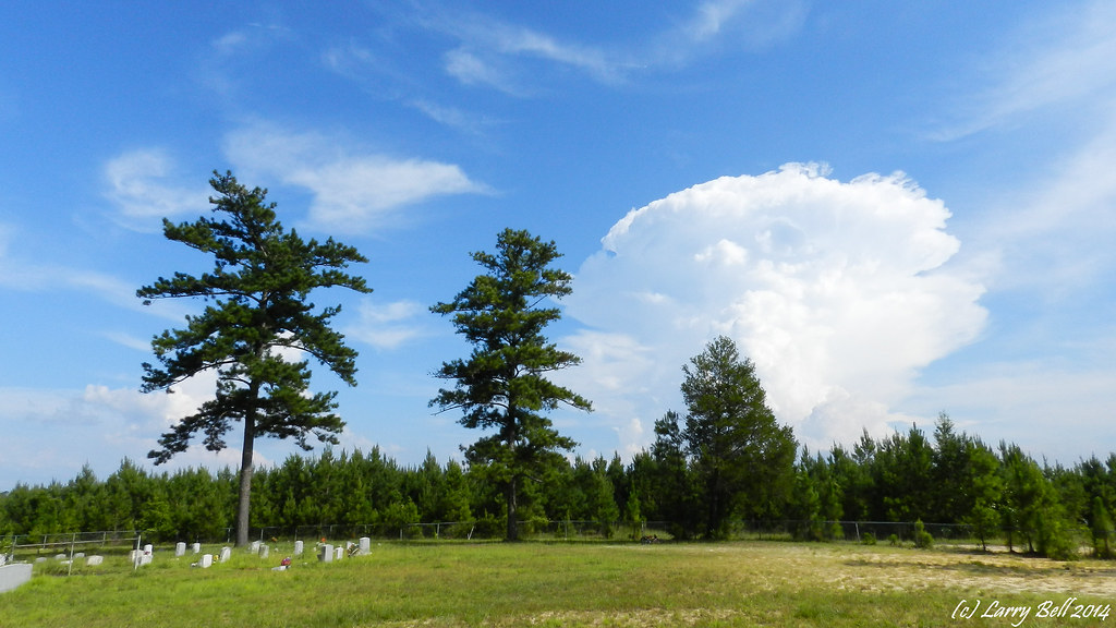 Elevation of Gainestown, AL, USA Topographic Map Altitude Map