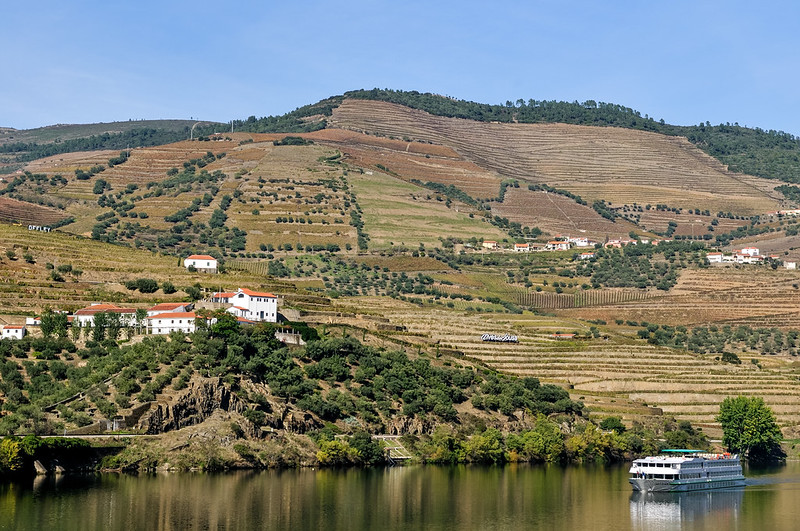 Autumn In The Douro River Valley • GAIL AT LARGE