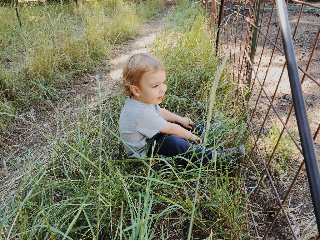 Dead Indian Memorial Road, Dead Indian Memorial Rd, Ashland, OR, USA