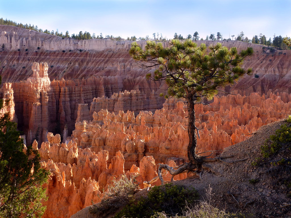 Elevation of Tropic, UT, USA Topographic Map Altitude Map