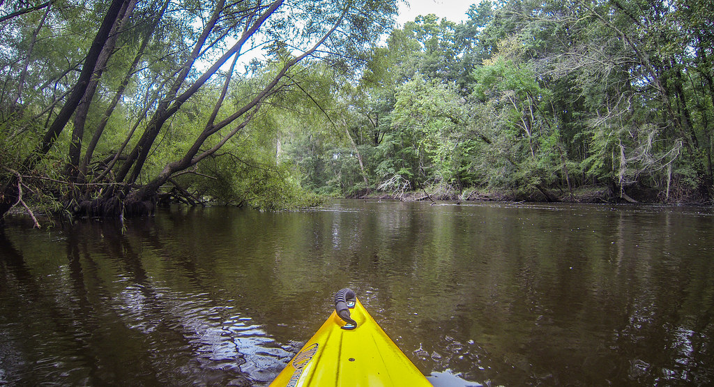 Elevation of Cottageville, SC, USA Topographic Map Altitude Map