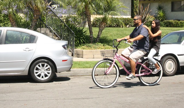 Companion Bike Seat Review