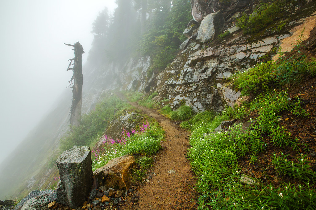 Elevation of Snoqualmie Pass, WA, USA Topographic Map Altitude Map