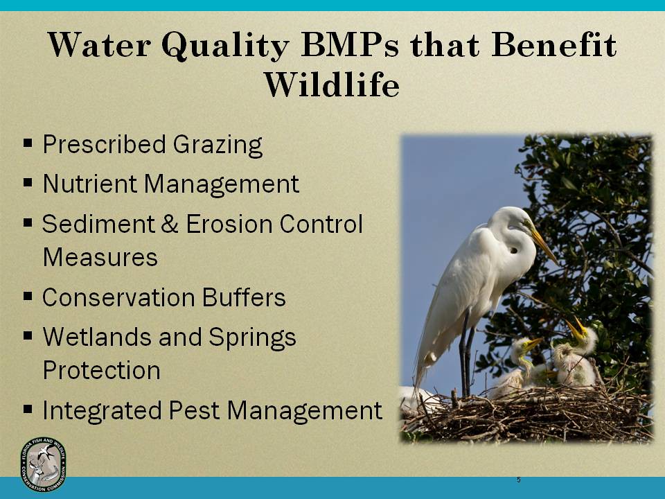 Wildlife Best Management Practices (BMPs) for Agriculture Activities
