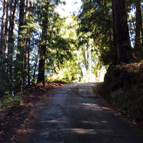 Ride the steepest hill in your town Cyclelicious