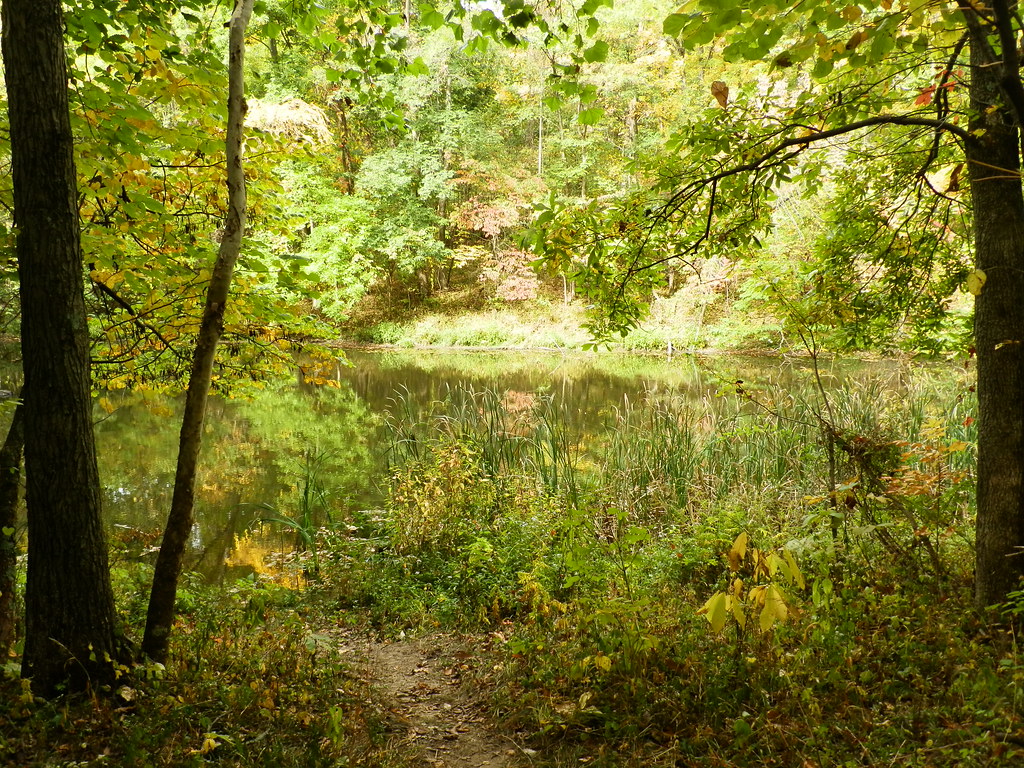 Elevation of Lower Twin Rd, South Salem, OH, USA Topographic Map Altitude Map