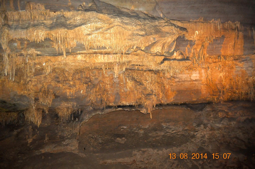 Elevation of White Elephant Road, White Elephant Rd, Grant, AL, USA