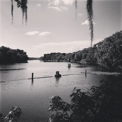 Elevation of DeLand, FL, USA - Topographic Map - Altitude Map