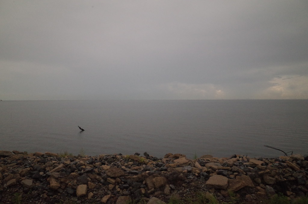 Elevation of LA38, Mt Hermon, LA, USA Topographic Map Altitude Map