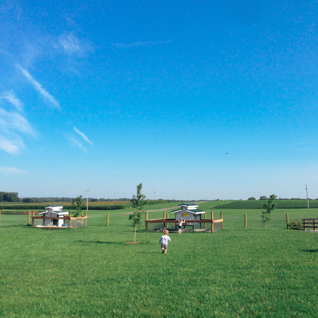 Elevation of Shelby County, KY, USA Topographic Map Altitude Map