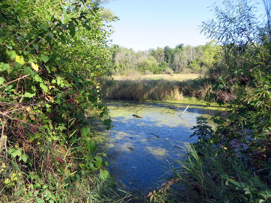 Kearsley Reservoir Map Michigan Mapcarta