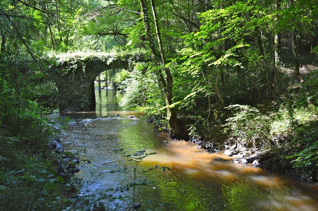 CHAMPAGNACLARIVIERE Map of ChampagnaclaRivière 87150 France