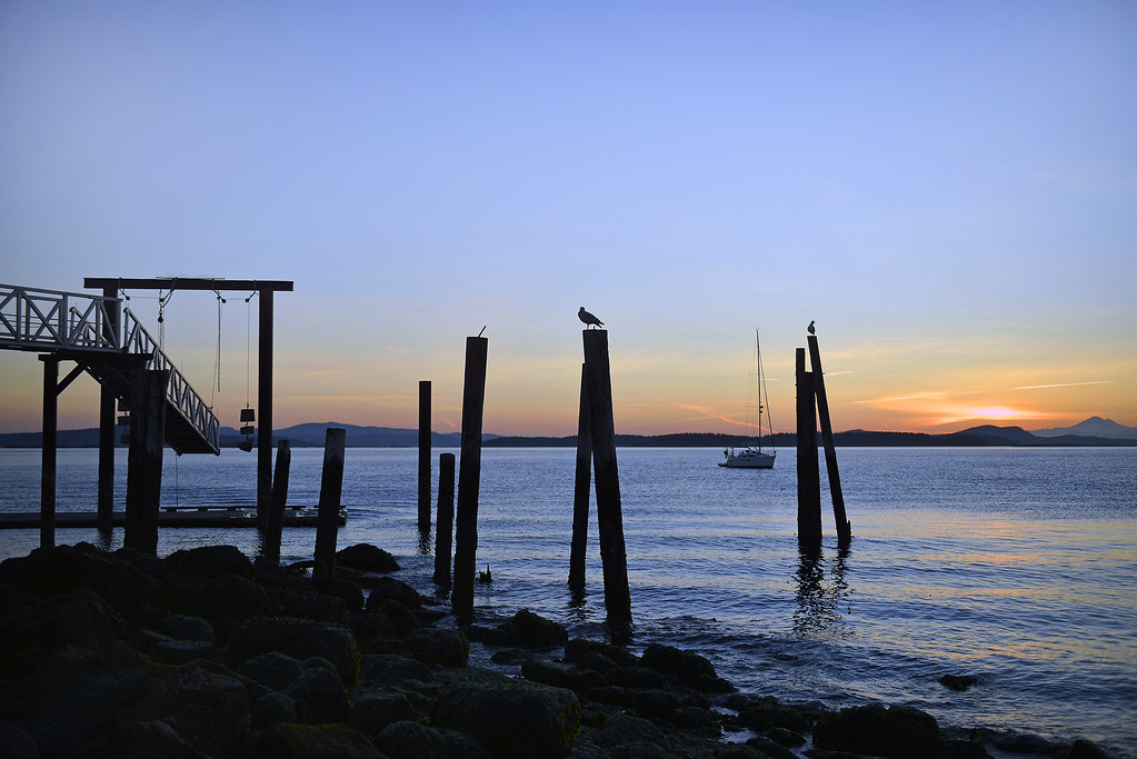 Elevation of Canoe Cove Road, Canoe Cove Rd, North Saanich, BC V8L