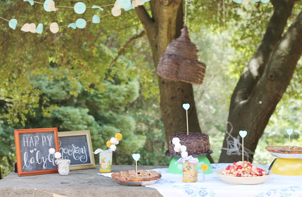 ah, that's love A picnic babyq shower