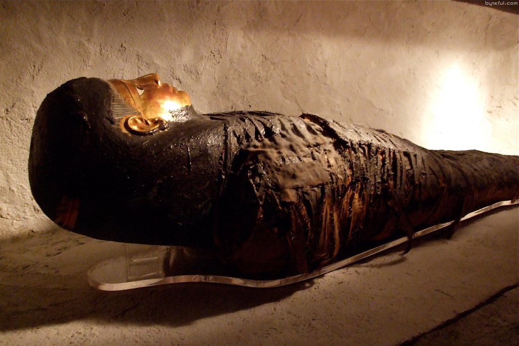 Field Museum Chicago photos • Andrew M. Crusoe