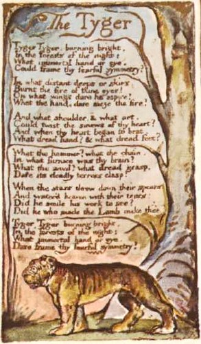 Poem #26: The Tyger By William Blake, 1794 | Semicolon