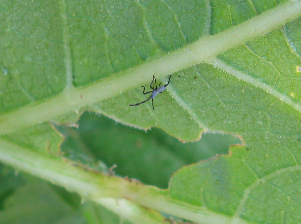 PLEASE NOTE MY BLOG HAS MOVED TO AS OF