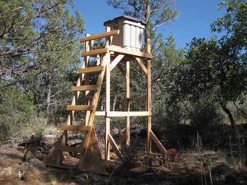 Water tower! Bears! ‘n stuff… Laptop and a Rifle