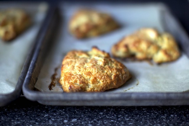 apple cheddar scone