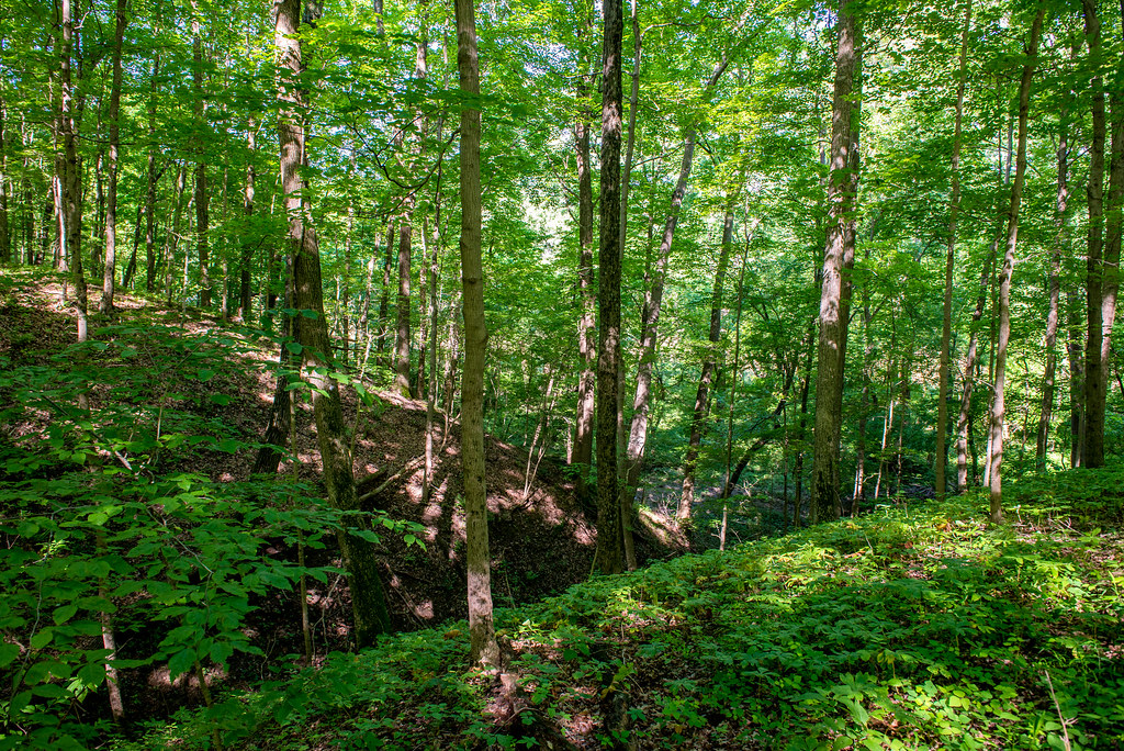 Mossy Point Nature Preserve May 29, 2017 Bloomington Indiana