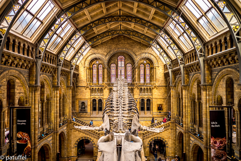 The World S Best Photos Of Dinosaur And England Flickr Hive Mind