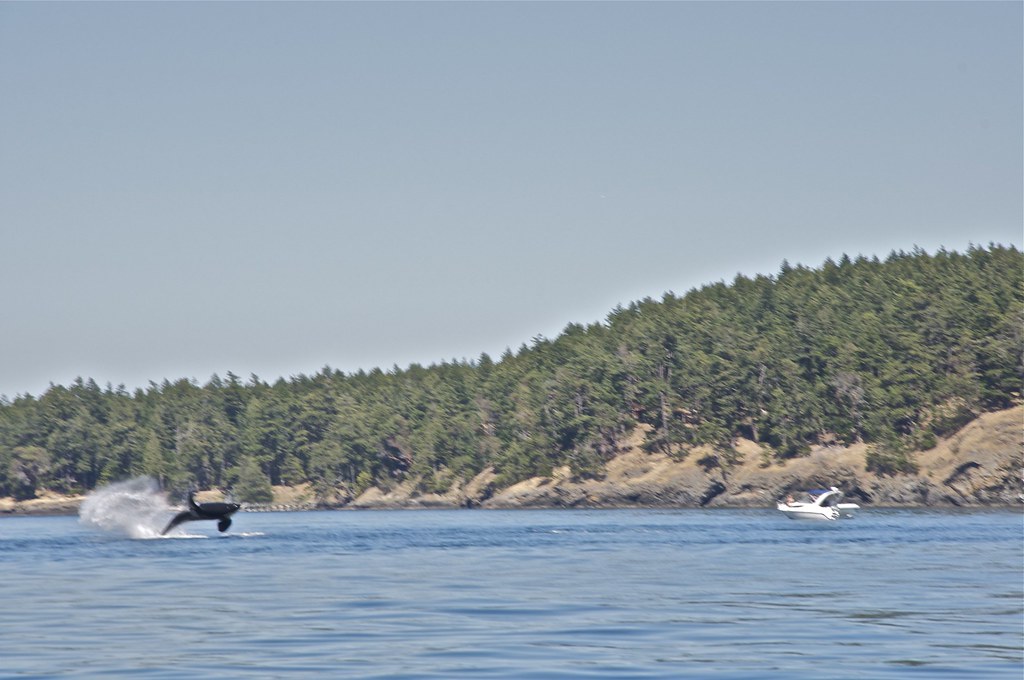 Stuart Island San Juan Islands, Washington Around Guides
