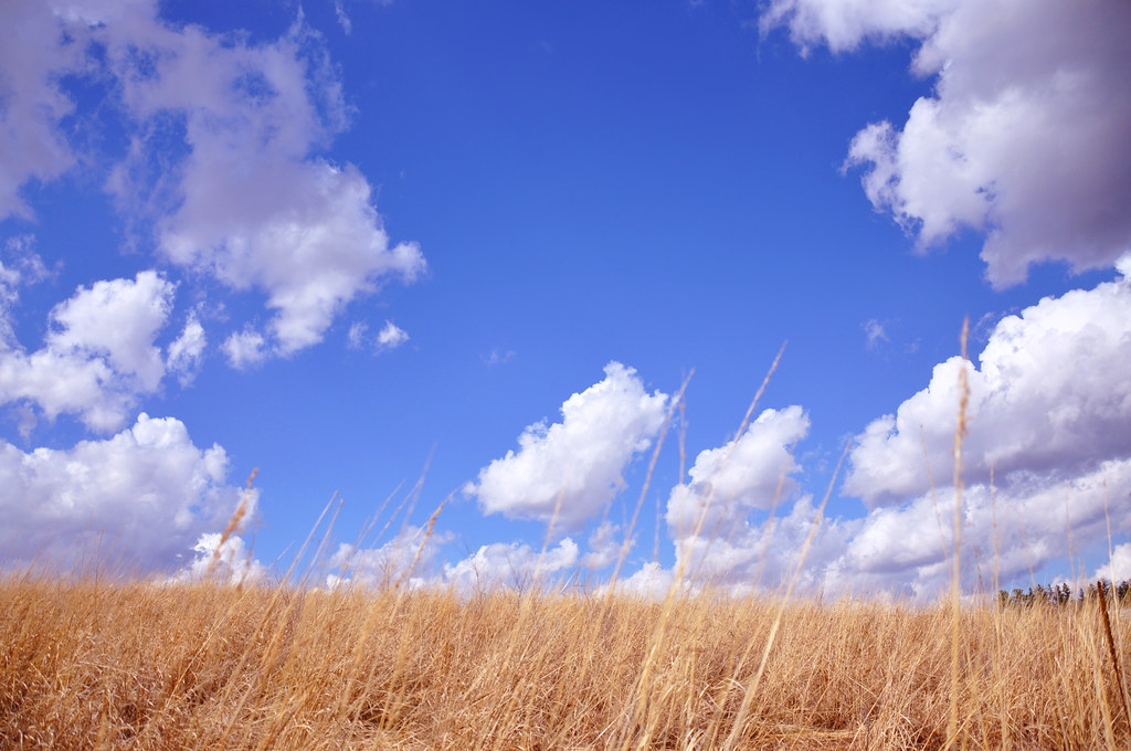 Elevation of Calmar, IA, USA Topographic Map Altitude Map