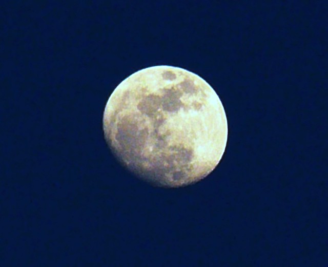 An Egg Shaped Moon!!! Flickr Photo Sharing!