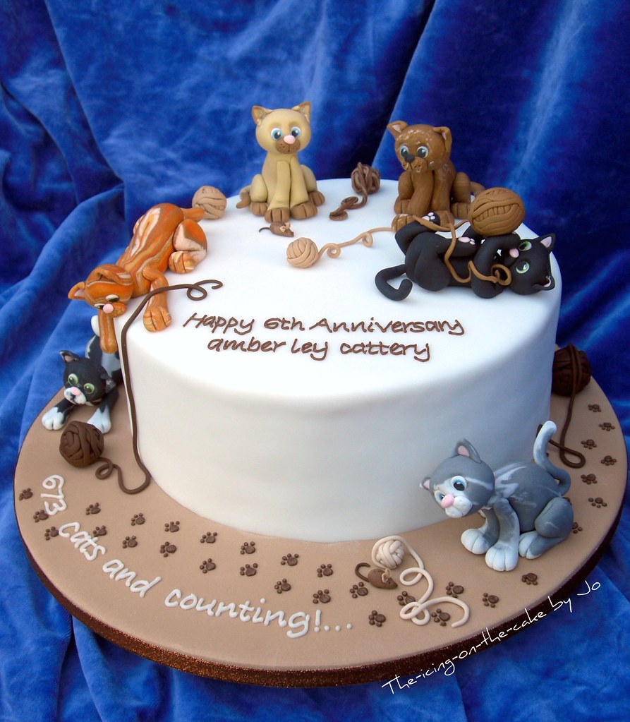 Happy 6th Anniversary amber ley cattery a photo on Flickriver