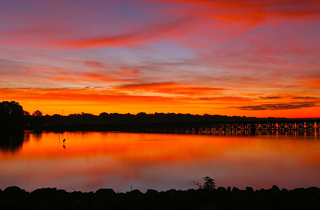 Elevation of Washington, NC, USA Topographic Map Altitude Map
