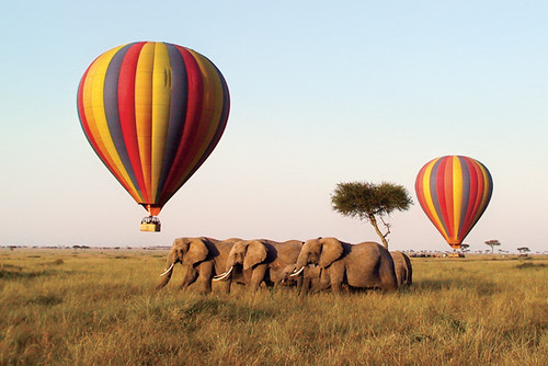 Hotair Balloon Safari Masai Mara, Kenya Photo by Rose Log… Flickr