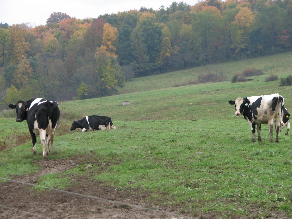 Fombell Pennsylvania Around Guides