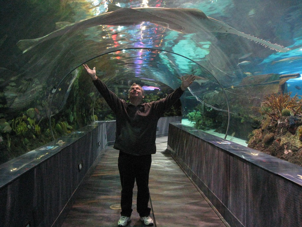 Gatlinburg,TNRipleys Aquarium a photo on Flickriver